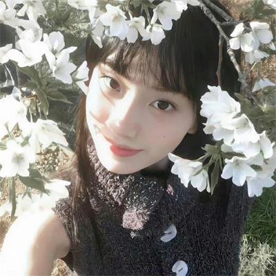 父亲是棵树
