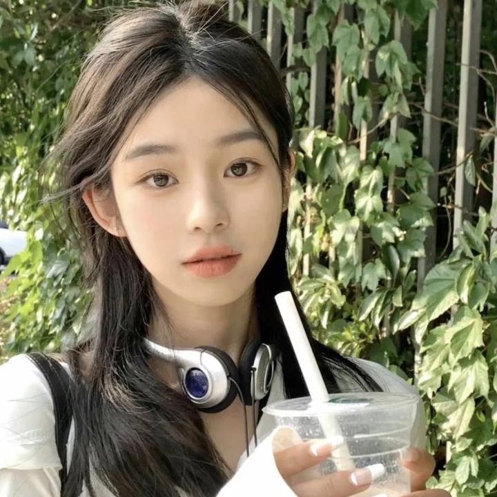教宗的承继